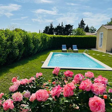 Un Coin Tropical En Provence ! Hotel L'Isle-sur-la-Sorgue Exterior photo
